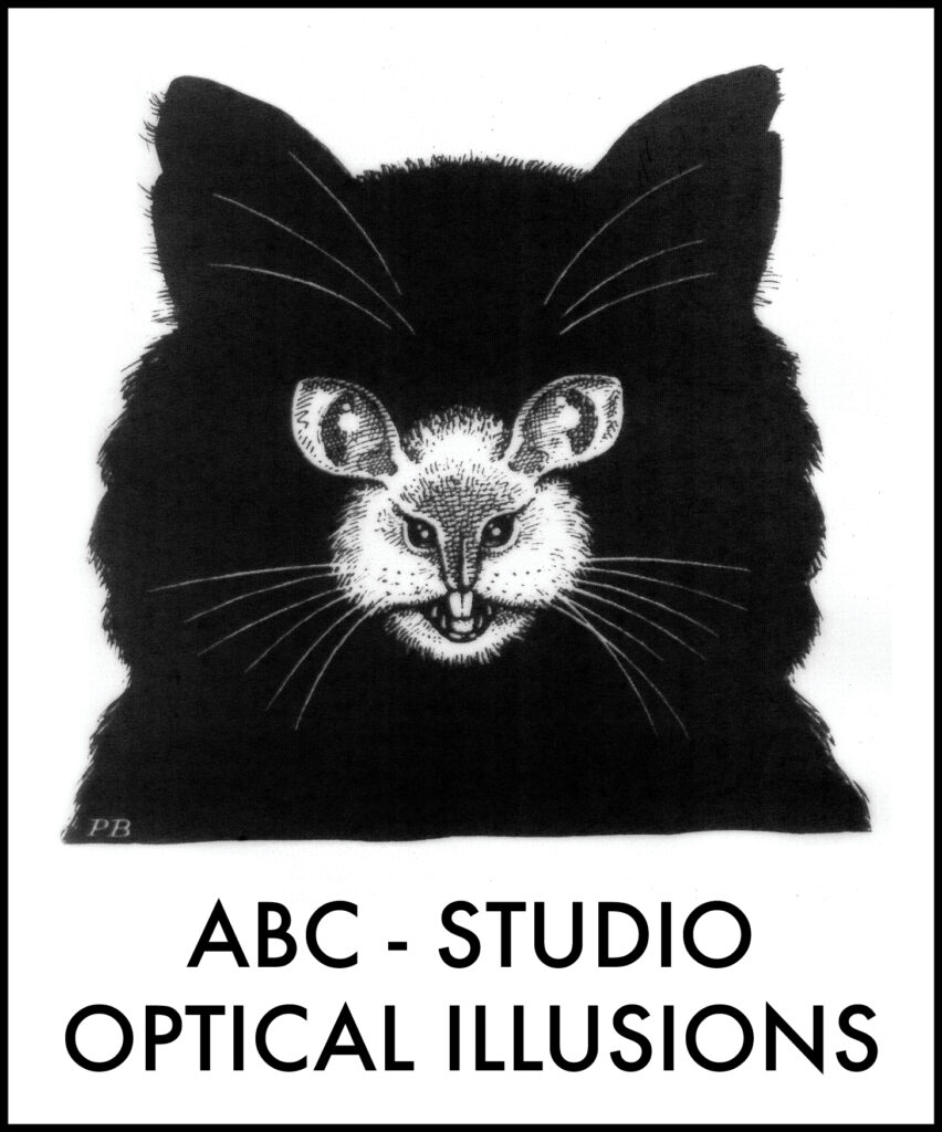 Jef festival – Studio Optical Illusions | ART BASICS for CHILDREN